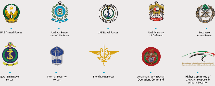 uae armed forces logo